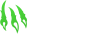 wild io logo