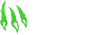 wild.io logo